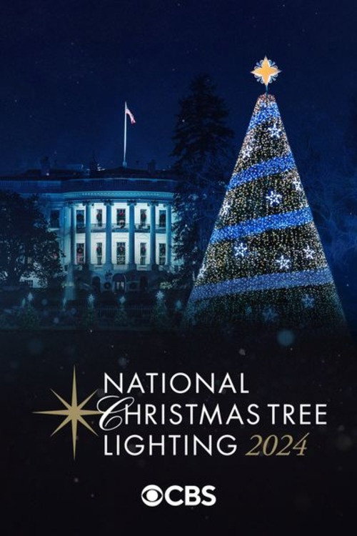National Christmas Tree Lighting (2024) movie poster