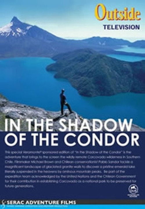 In the Shadow of the Condor (2002) movie poster
