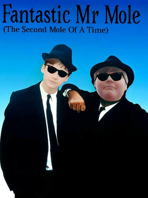 Fantastic Mr. Mole (2026) movie poster
