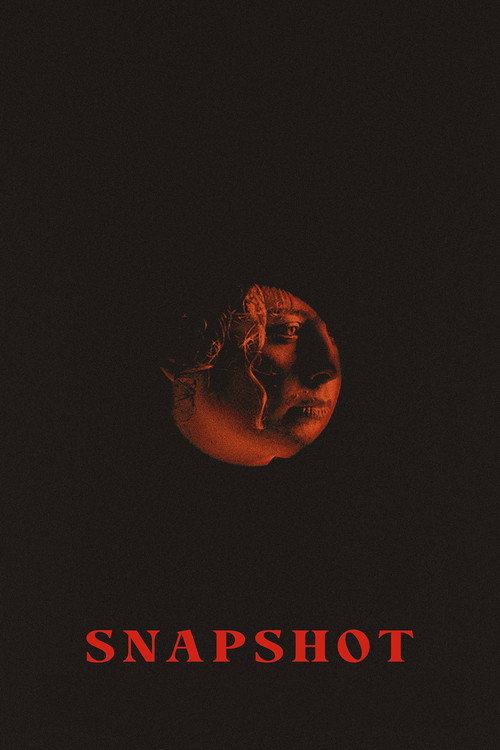Snapshot (2026) movie poster