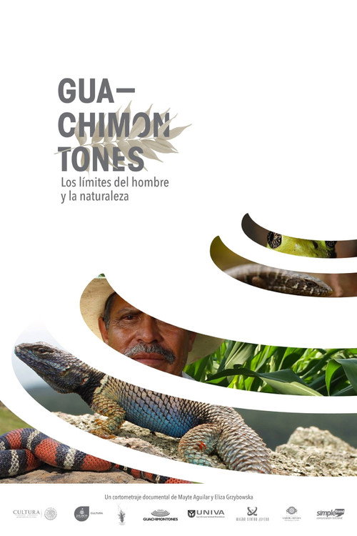 Guachimontones, los límites del hombre y la naturaleza. (2016) movie poster