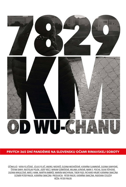 7829 km od Wu-chanu (2021) movie poster