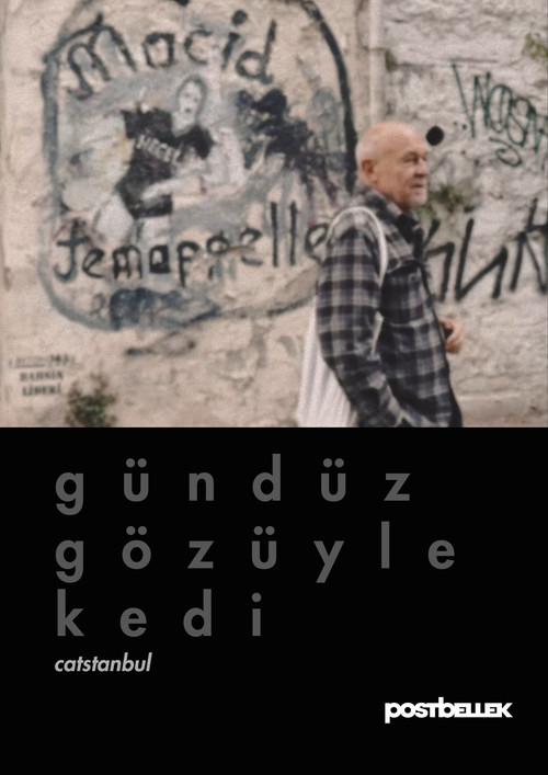 Catstanbul (2025) movie poster