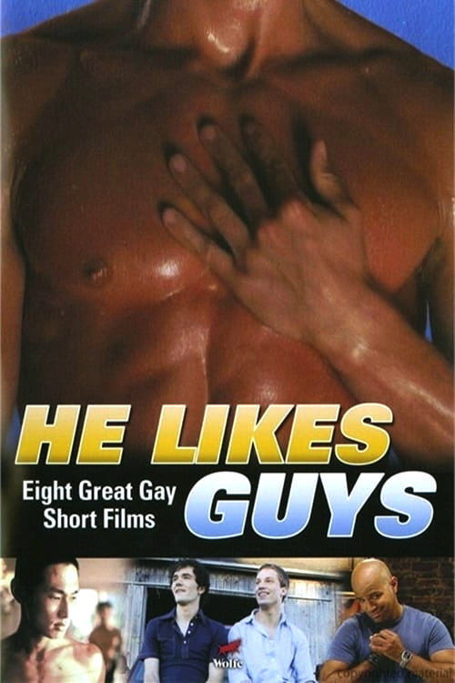 He Likes Guys (2009) movie poster