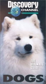 The Ultimate Guide - Dogs (1997) movie poster