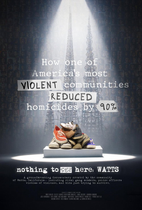 Nothing to See Here: Watts (2025) movie poster