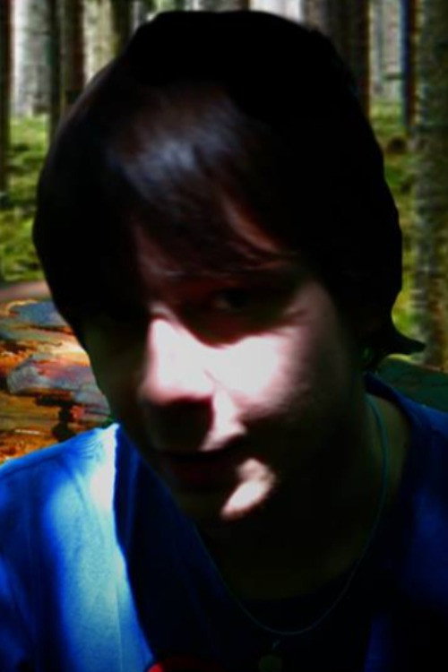 The Hamleigh Disappearances (2015) movie poster