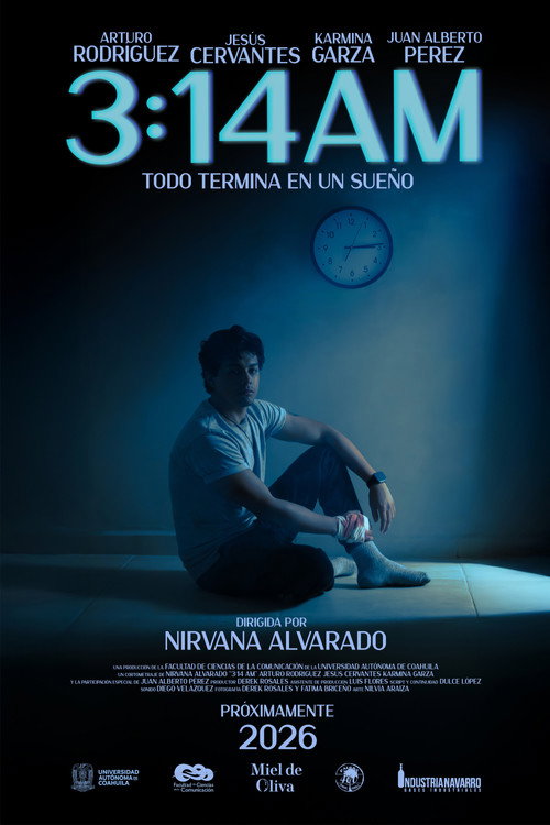 3:14 AM (2026) movie poster
