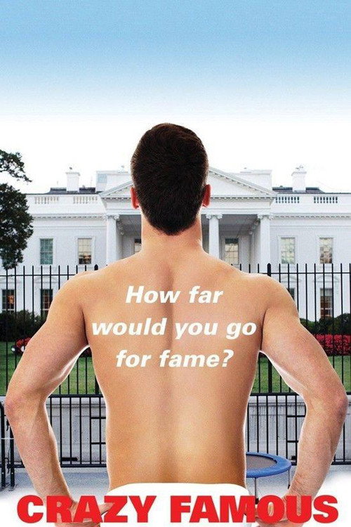 Crazy Famous (2017) movie poster