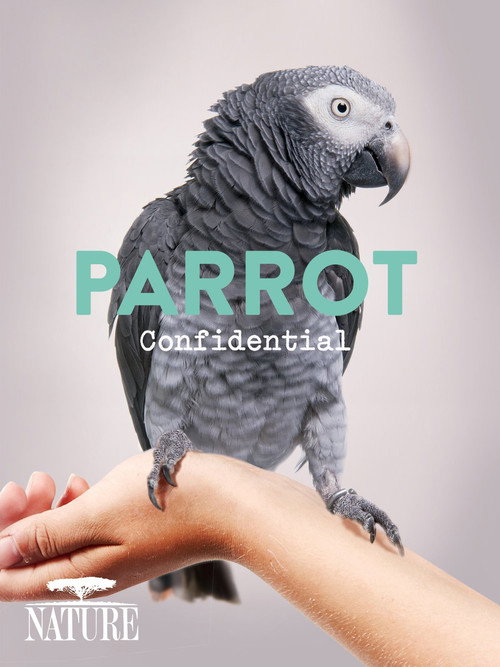 Parrot Confidential (2013) movie poster