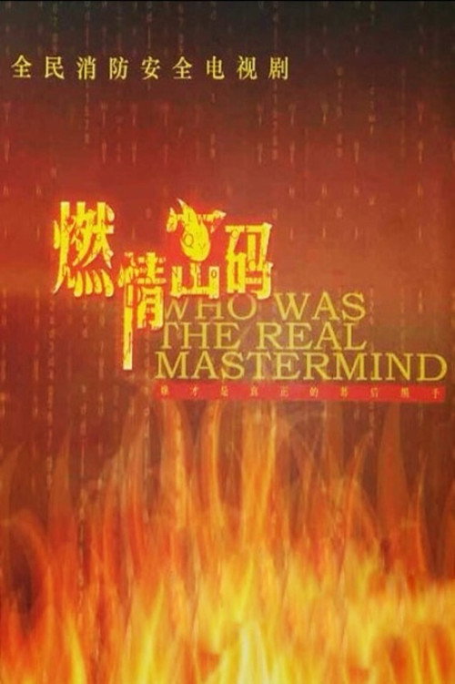 Who Was the Real Mastermind (2013) TV show poster