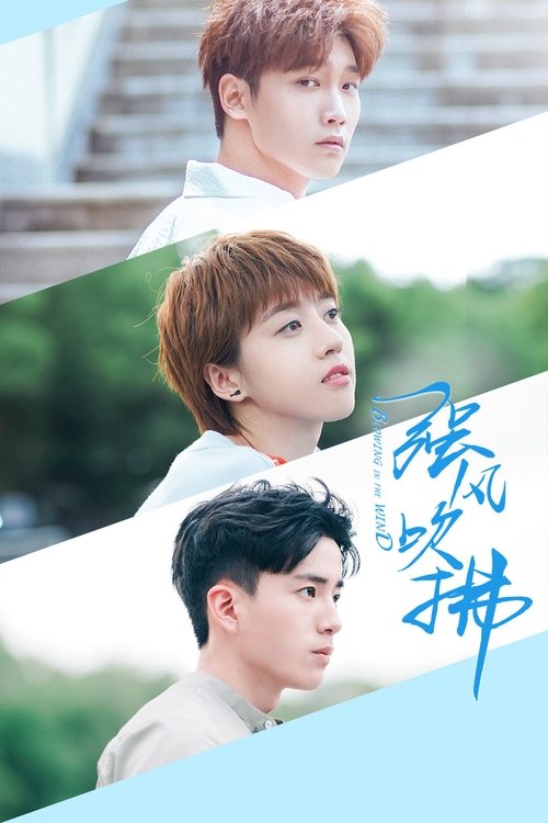 Blowing in the Wind (2019) TV show poster
