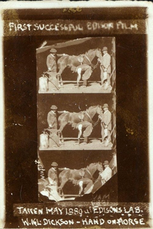 Horse Shoeing (1893) movie poster