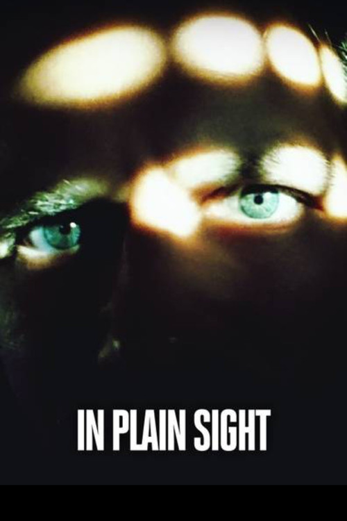 Killer in Plain Sight (2018) TV show poster