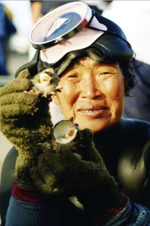 Diving Women of Jeju-do (2007) movie poster