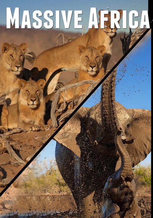 Massive Africa (2019) TV show poster