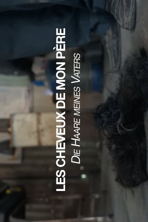 Les cheveux de mon père (2025) movie poster