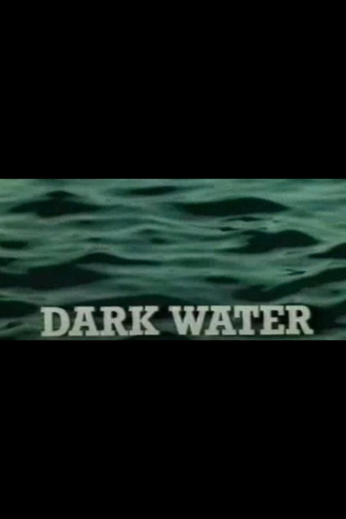 Dark Water (1980) movie poster