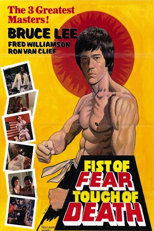 Fist of Fear, Touch of Death (1980) movie poster