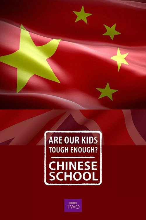 Are Our Kids Tough Enough? Chinese School (2015) TV show poster