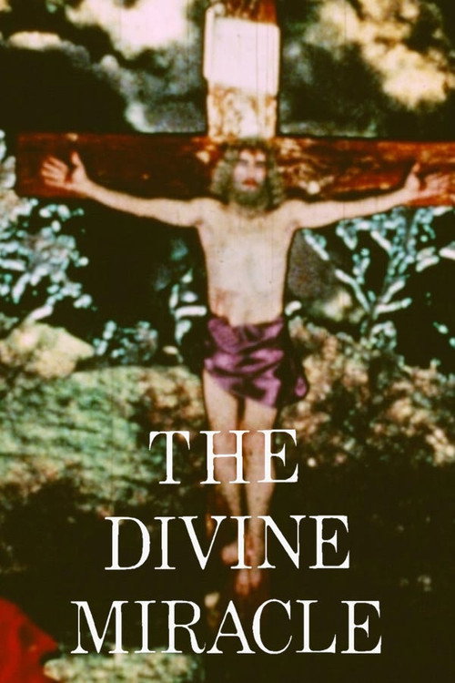 The Divine Miracle (1973) movie poster
