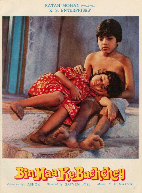 Bin Maa Ke Bachche (2009) movie poster