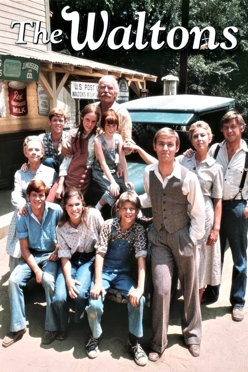 The Waltons (1972) TV show poster