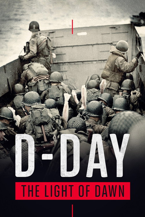 The Light of Dawn: The Normandy Landings (2014) movie poster