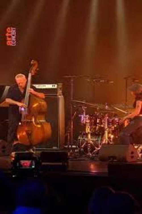 Avishai Cohen Trio Leverkusener Jazztage 2024 (2024) movie poster