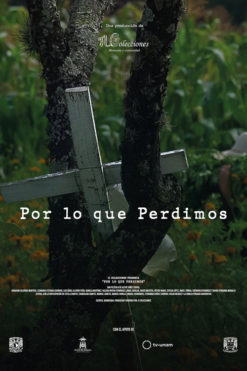 Por lo que Perdimos (2025) movie poster