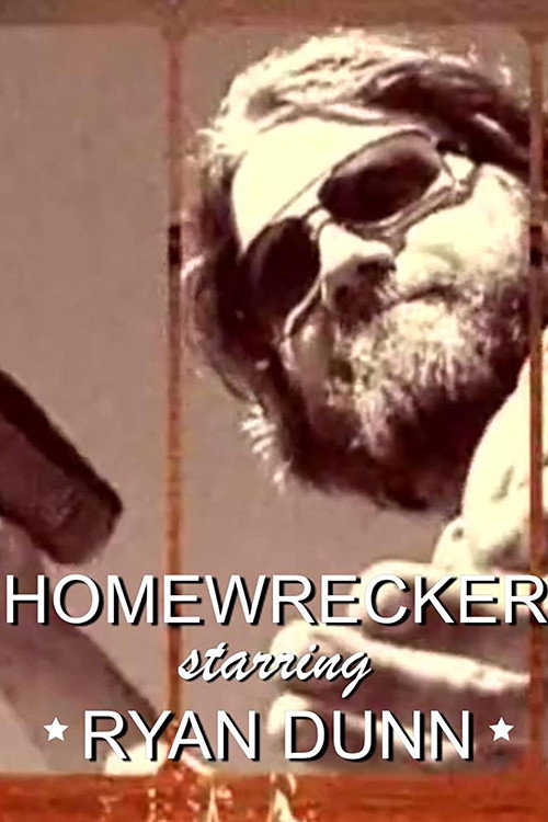 Homewrecker (2005) TV show poster
