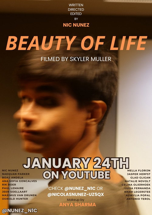 Beauty of Life (2025) movie poster