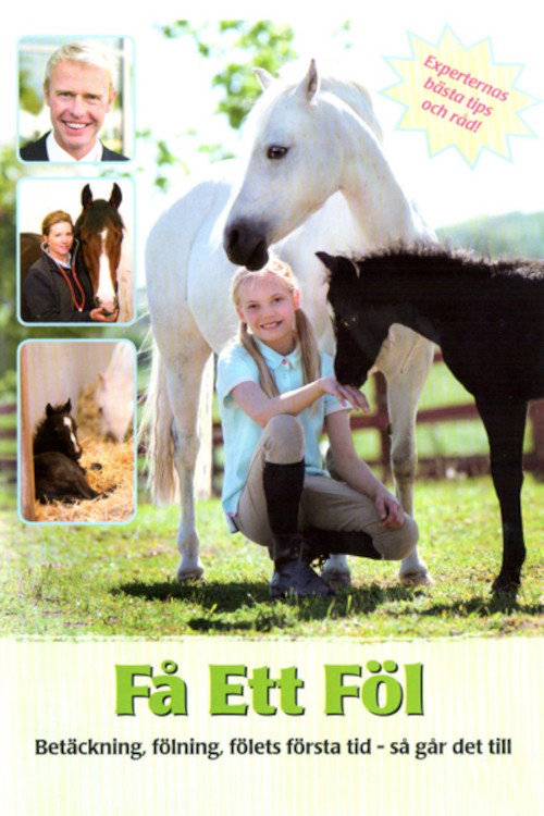 Få ett föl (2011) movie poster