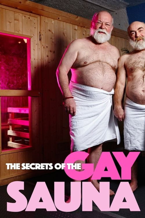 Secrets of the Gay Sauna (2016) movie poster
