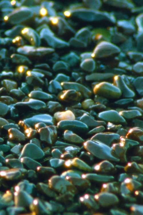 Jasper Beach and The Salt Marsh (2023) movie poster