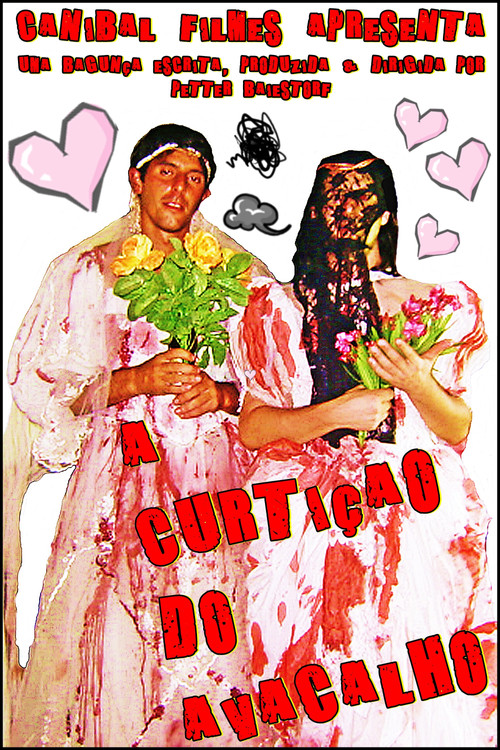 The Enjoyment of the Avacalho (2006) movie poster