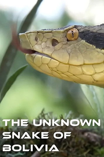 The Unknown Snake of Bolivia (2018) TV show poster