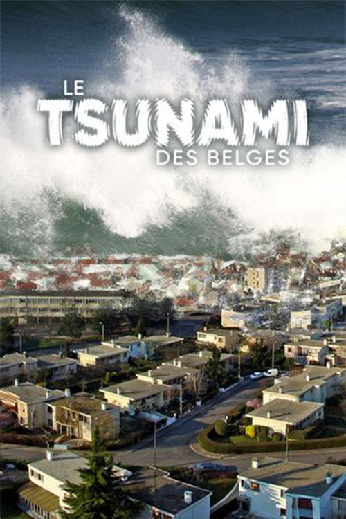 Le Tsunami des belges (2024) TV show poster