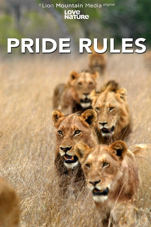 Pride Rules (2025) TV show poster