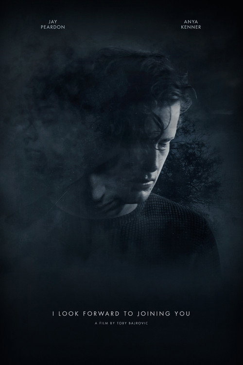 I Look Forward to Joining You (2023) movie poster