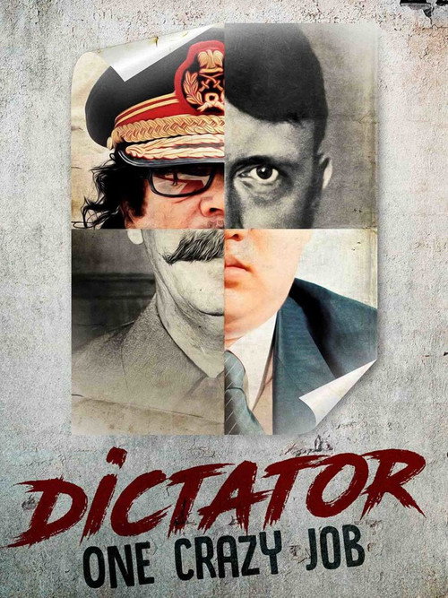 Dictator: One Crazy Job (2013) movie poster