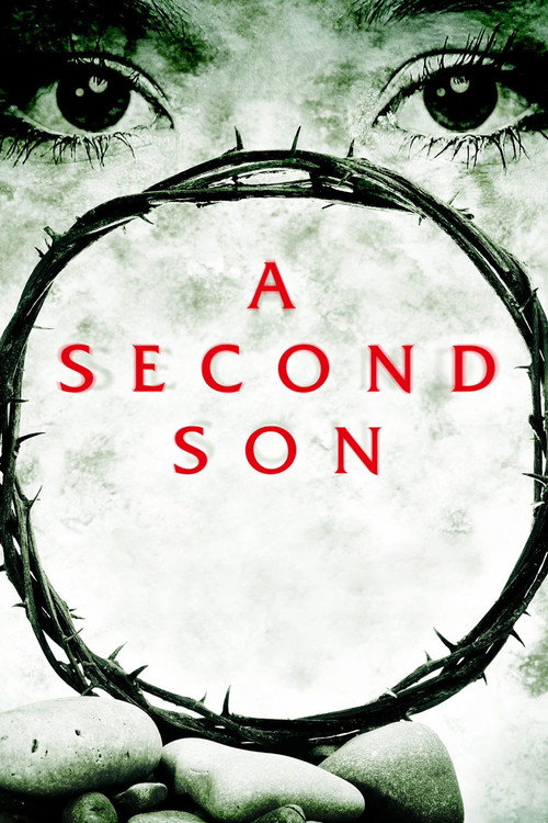 A Second Son (2012) movie poster