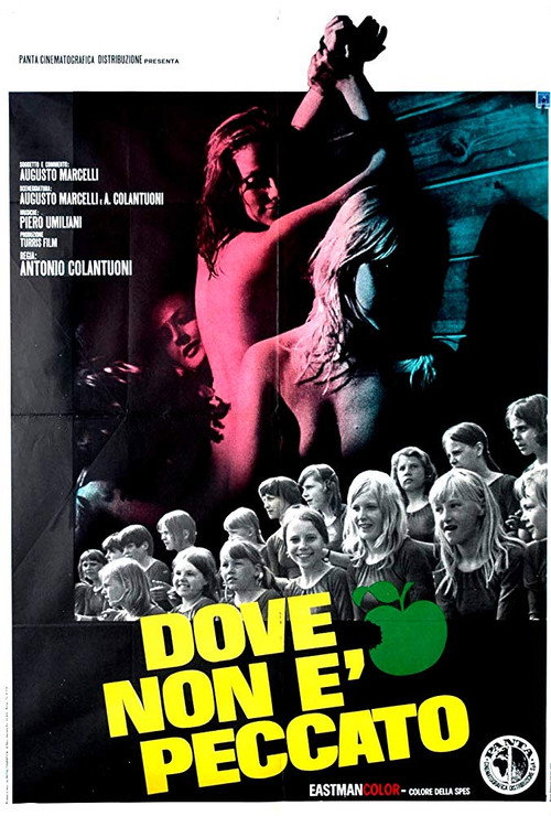 Mondo Finlandia (1970) movie poster