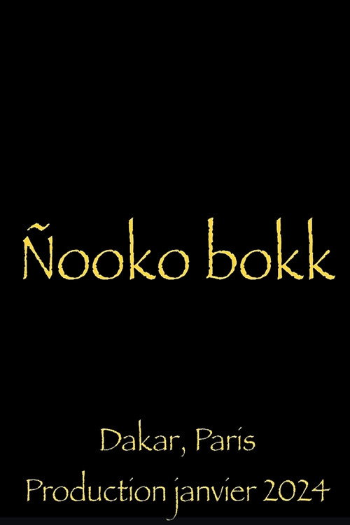 Nooko Bokk (2024) movie poster