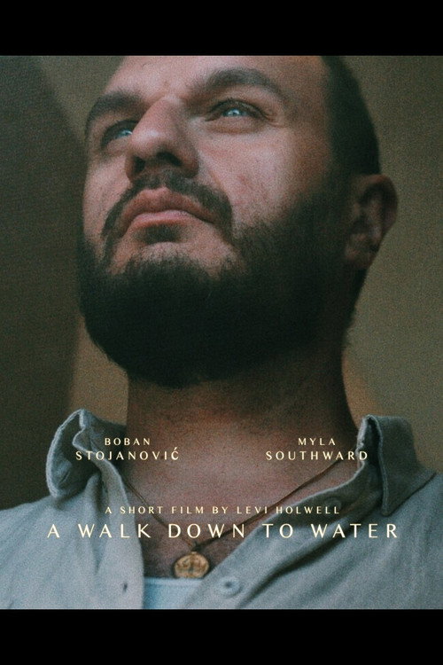 A Walk Down to Water (2019) movie poster