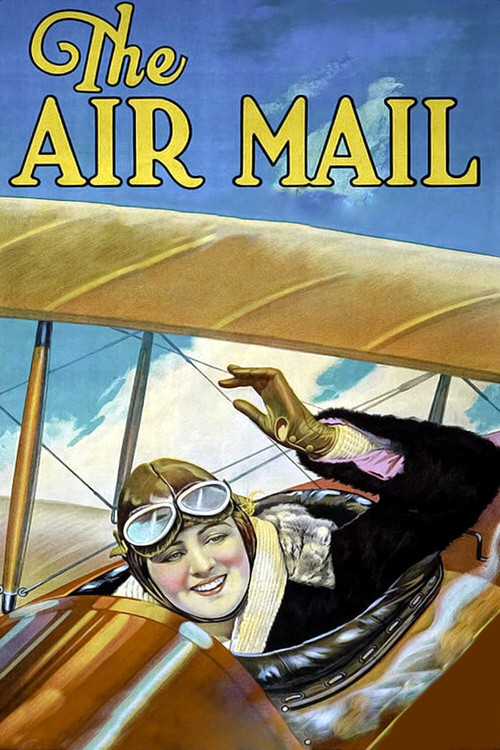 The Air Mail (1925) movie poster