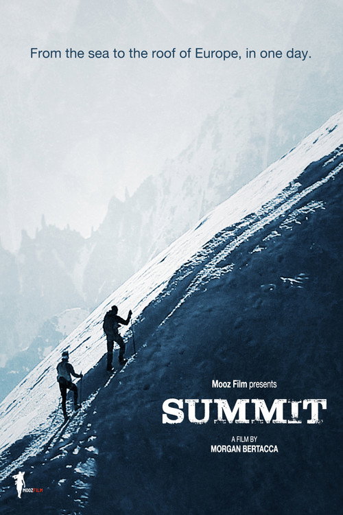 Nico Valsesia - From Zero To Monte Bianco - Summit (2013) movie poster