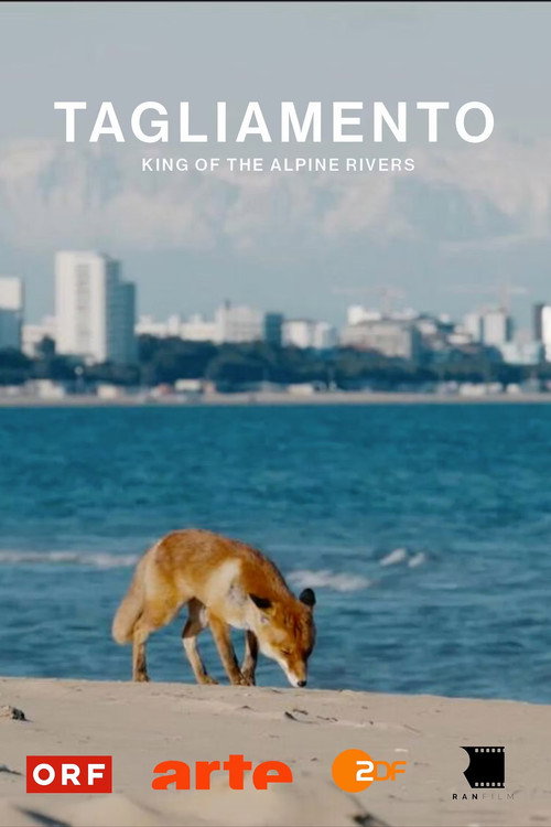 Tagliamento - King of The Alpine Rivers (2024) movie poster