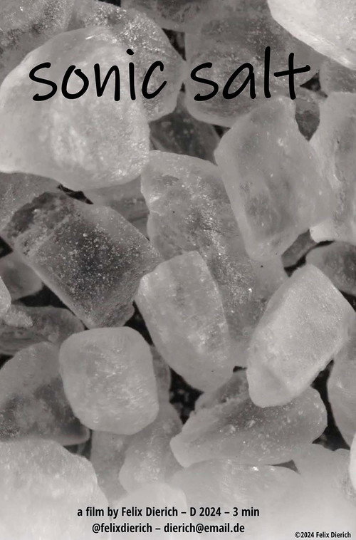 sonic salt (2025) movie poster