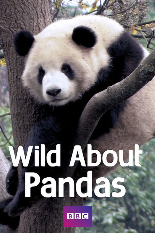 Wild About Pandas (2012) TV show poster